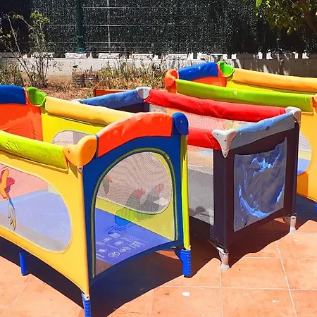Pins Tordus * Blanes